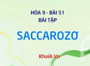 Bài tập về Saccarozơ: Giải bài tập 1, 2, 3, 4, 5, trang 155 SGK Hóa 9 bài 51